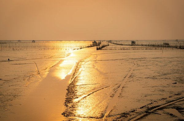 Séjours inoubliables dans les campings de Bretagne Sud