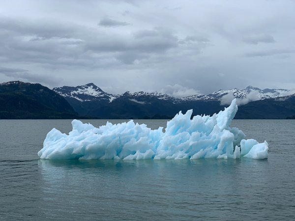 Quel est le meilleur itinéraire pour une croisière d'observation des glaciers en Alaska?